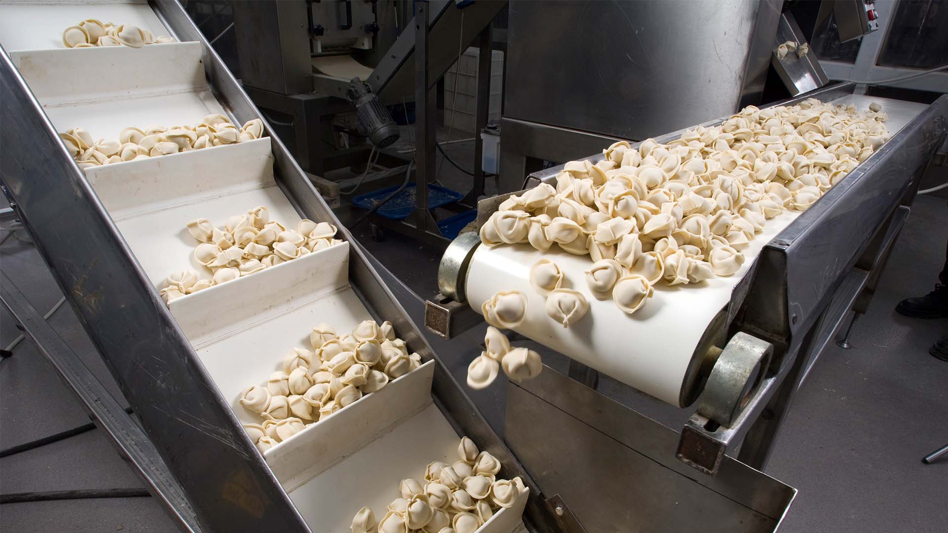 Tortellini on a conveyor belt