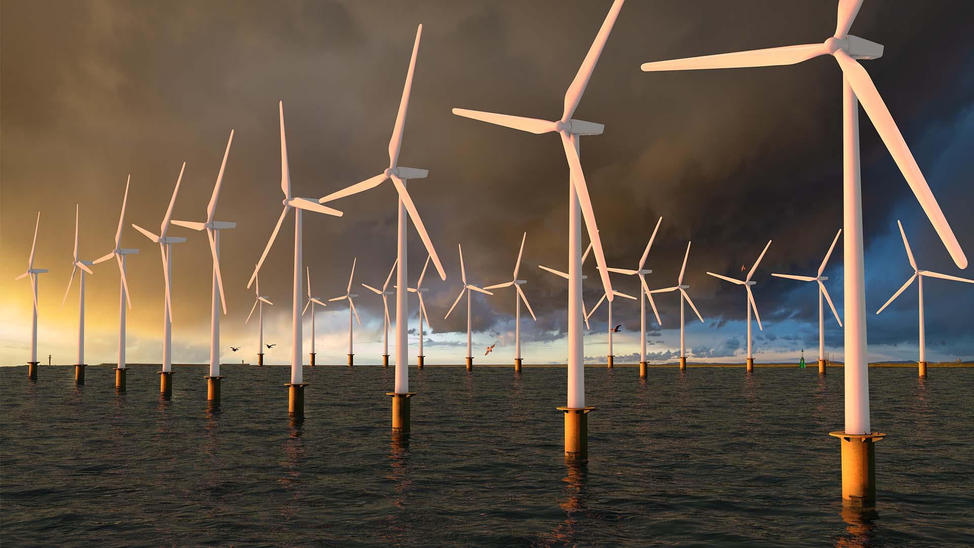 An offshore wind farm