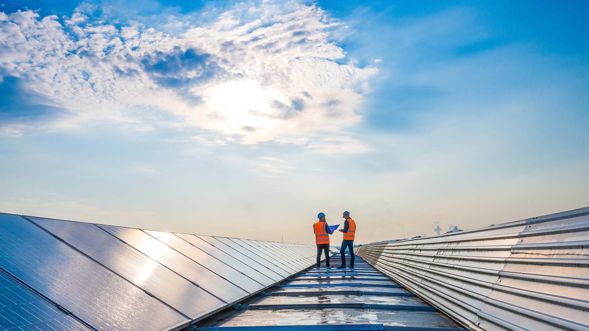 A solar panel array